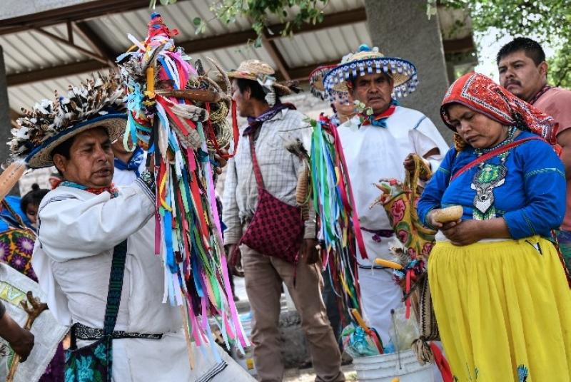 Wirkuta Pilgrimage with the Wix&aacute;rika