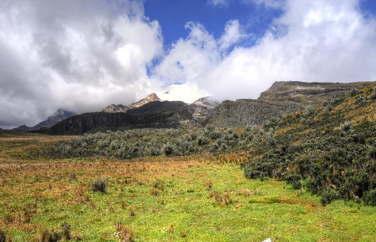 Cayambe National Park, Ecuador
