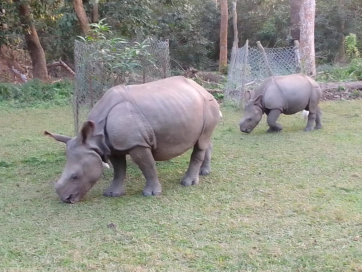 Chitwan National Park, Nepal