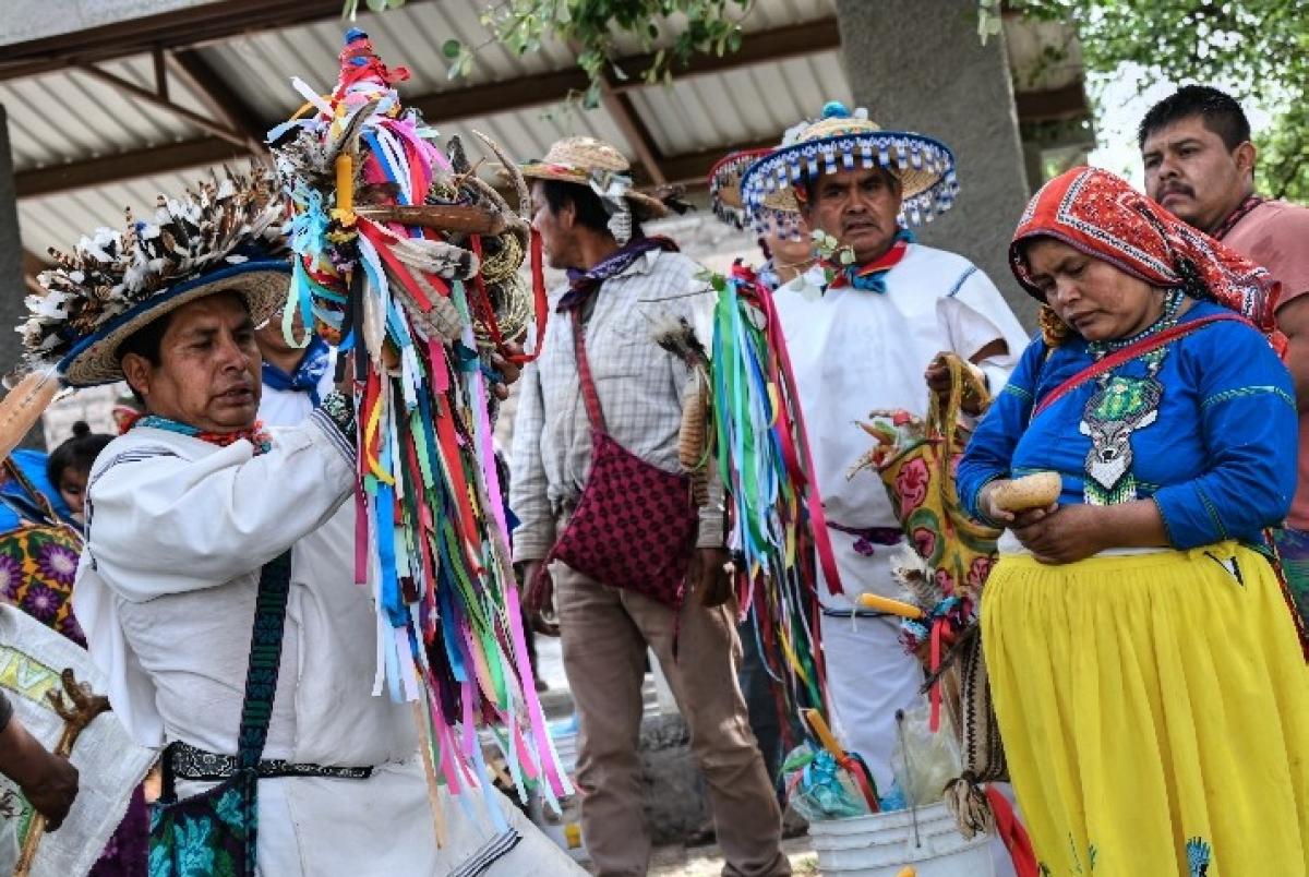 Wirkuta Pilgrimage with the Wixárika