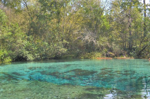 Gainesville, Florida